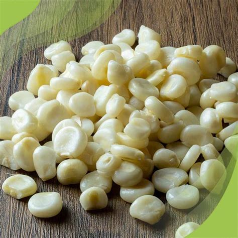 Ilustración de granos de choclo peruano blanco y tierno