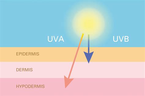 Esquema sobre el impacto de los rayos UV en la estructura del cabello rizado y la importancia de la hidratación