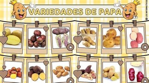 Ilustración de variedades de papas y su uso culinario