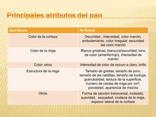 infografía sobre los atributos visuales del pan: color de miga y corteza, tamaño y uniformidad de los alveolos