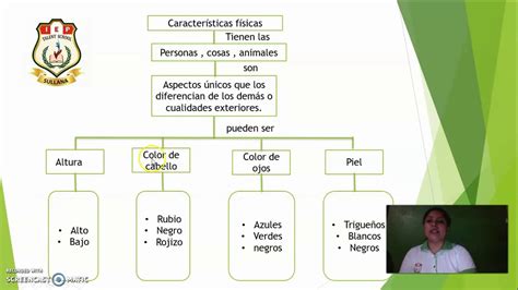 Esquema de las características físicas de una pulga y su capacidad de salto