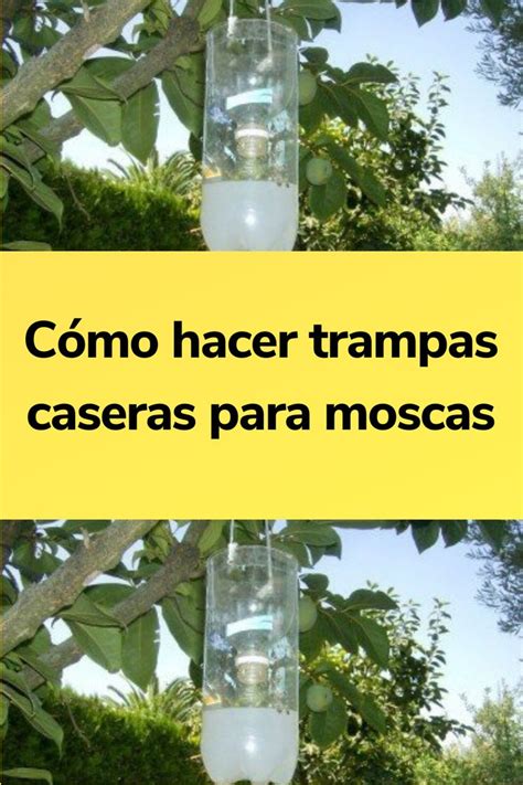 Esquema de las trampas caseras de luz y jabón para pulgas