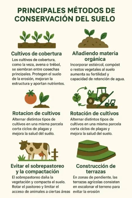Esquema comparativo de métodos de conservación del pan: bolsas de tela, paneras, bolsas de papel y el efecto negativo del plástico.
