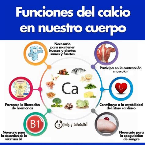 Esquema de las funciones del calcio en el cuerpo humano, destacando huesos, músculos y sistema nervioso.