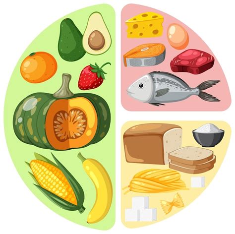 Esquema de los principales grupos de alimentos en una dieta vegetariana (legumbres, verduras, tofu, cereales)