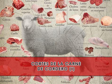Tabla con diferentes tipos de cordero y cortes
