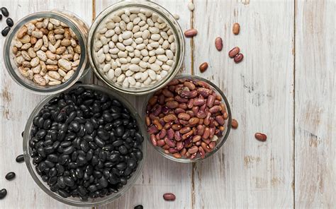 Galería de imágenes mostrando diferentes variedades de frijoles (Castilla, de palo, canario, Red Kidney).