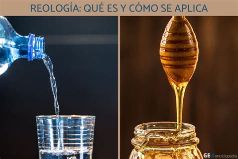 Esquema que muestra la relación entre la reología, la textura y la percepción del consumidor en productos lácteos