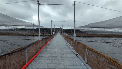 Foto de un pontón en un centro de cultivo de salmones en fiordos chilenos