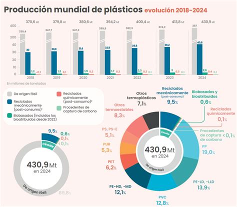Infografía comparativa de la producción mundial de frambuesas frescas vs. congeladas y secas
