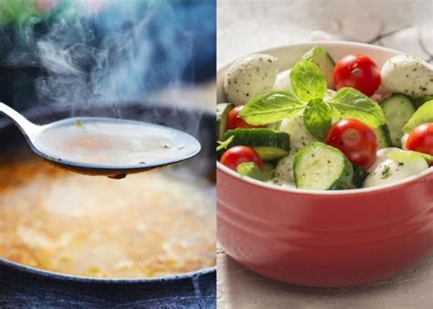 Esquema de alimentos fríos y calientes en la cocina persa según la medicina Unani