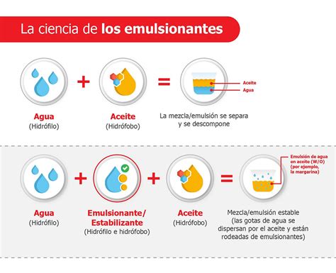 Diagrama de cómo funciona una emulsión con aceite y agua, mostrando la lecitina como agente emulsificante