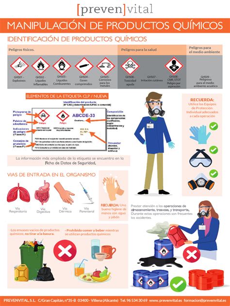 Infografía sobre la correcta manipulación y almacenamiento de huevos
