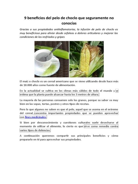 Infografía detallando los beneficios del pelo de choclo para el sistema urinario y el control de la glucosa