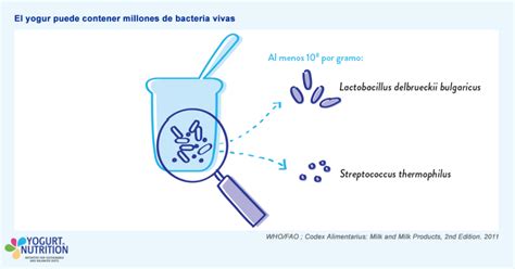 Microorganismos vivos en el yogur (ampliación microscópica)