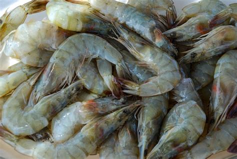 Foto de camarones crudos grandes y frescos