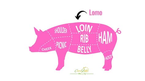 Esquema anatómico mostrando la ubicación del lomo superior del cerdo donde se obtiene la chuleta vetada.