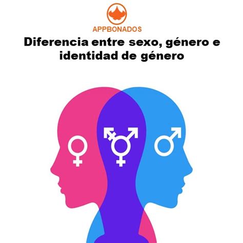 infografía que explica la diferencia entre sexo, género e identidad de género