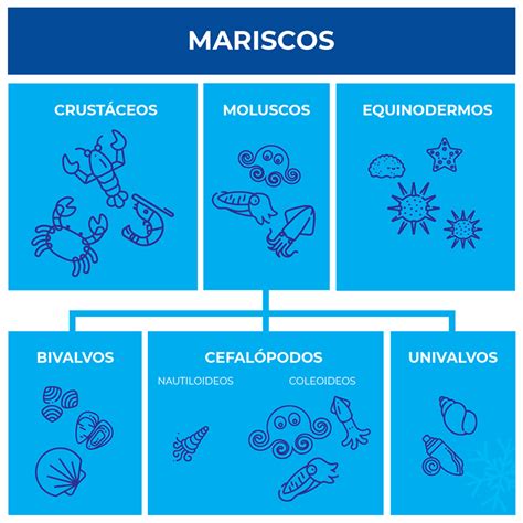 Esquema de la clasificación de mariscos (crustáceos, moluscos, equinodermos) con ejemplos visuales