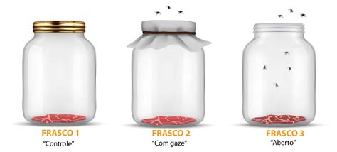 Frasco de vidrio con kéfir fermentando, cubierto con gasa