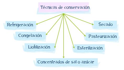 Esquema de las técnicas de conservación de la carne