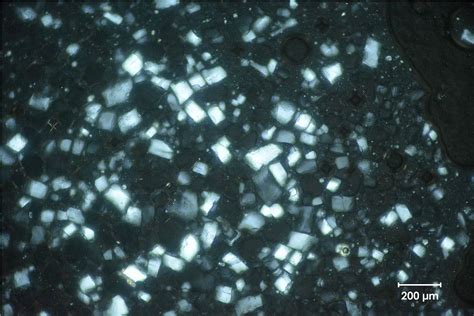 Micrografía de cristales de hielo en carne congelada lentamente vs rápidamente