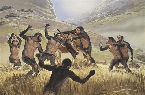 Ilustración de Homo habilis utilizando herramientas para cazar o procesar carne.