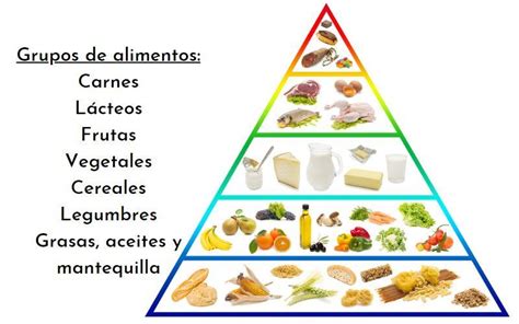 Esquema de la clasificación de los grupos alimenticios