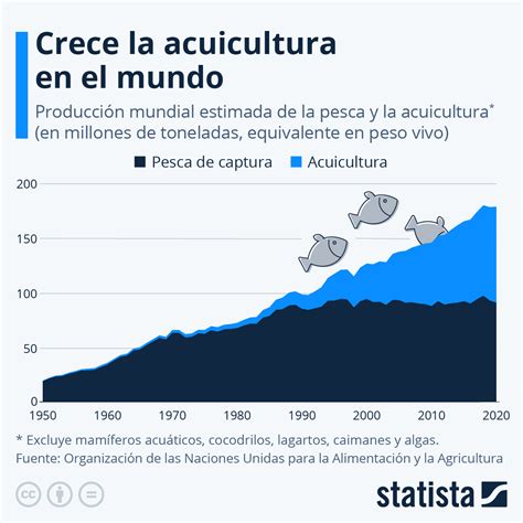 Infografía sobre la producción mundial de salmón de acuicultura