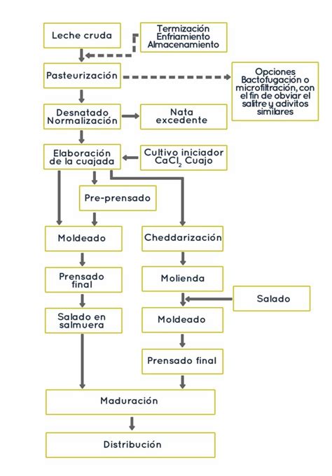 Esquema del proceso de fabricación de queso, mostrando la separación del suero de leche