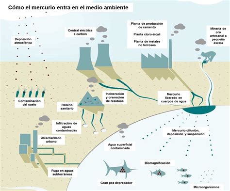 Mapa mundial mostrando zonas de alta contaminación por mercurio en el océano