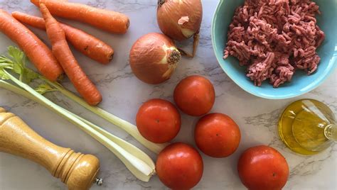 Ilustración de ingredientes frescos para salsa boloñesa (carne, tomates, cebolla, zanahoria, ajo)