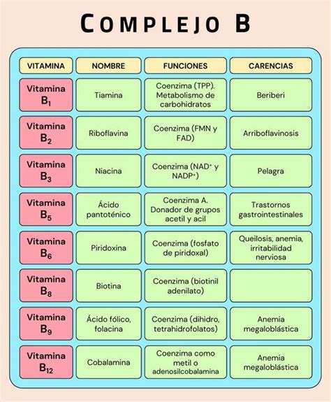 Esquema visual de las vitaminas del complejo B presentes en la carne de cerdo y sus beneficios