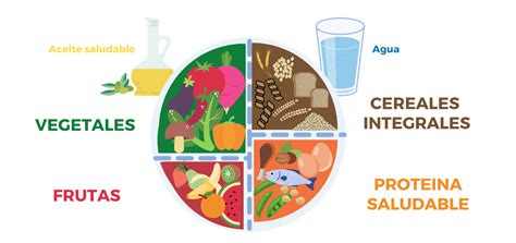 Esquema del Plato para Comer Saludable: distribución equilibrada de vegetales, proteínas, granos integrales y grasas saludables.