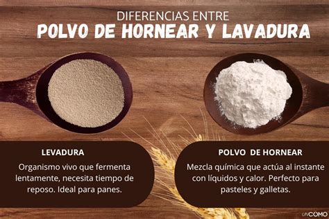 Esquema de las diferencias entre levadura de panadero y polvo para hornear