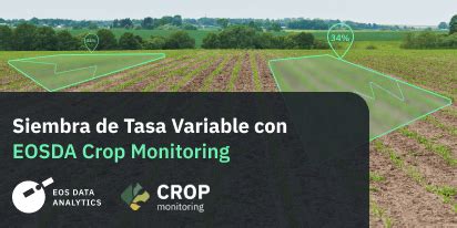 Infografía: cómo el mapa de vegetación de EOSDA Crop Monitoring facilita la aplicación de fertilizante de tasa variable.