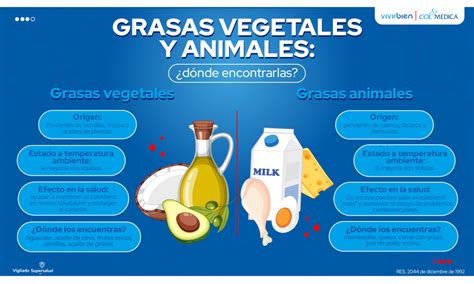 Infografía comparativa: perfil nutricional de aceites vegetales frente a grasas de origen animal (saturadas e insaturadas).