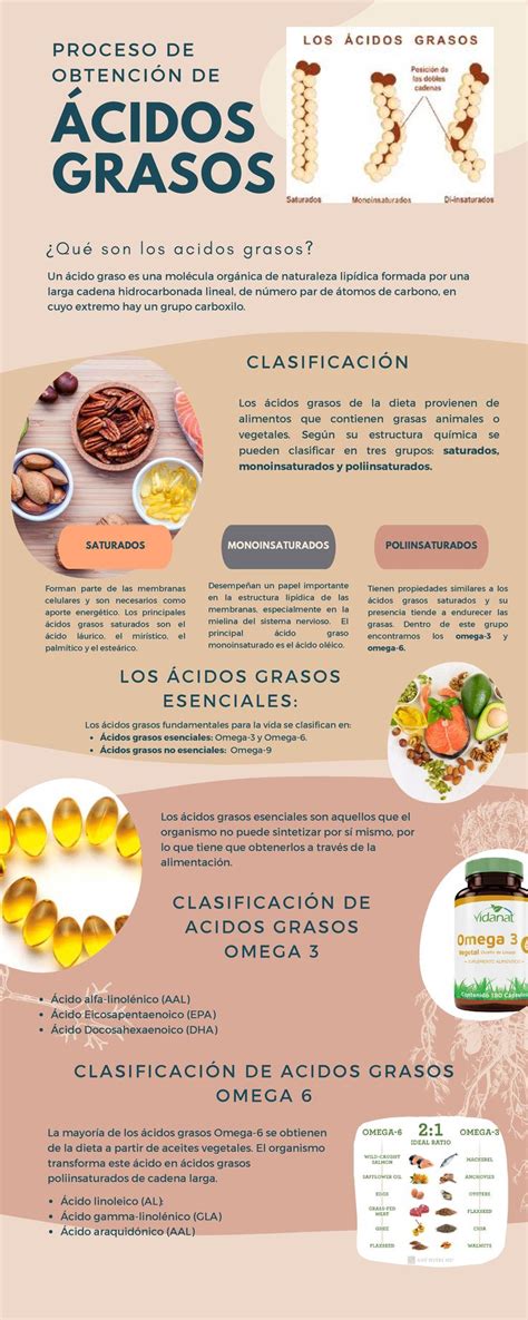 Infografía sobre los ácidos grasos saturados en productos de coco y sus efectos en la salud