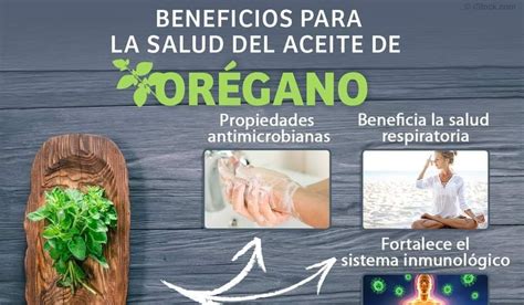 infografía con los principales beneficios para la salud del aceite de orégano (antibacteriano, antioxidante, antiinflamatorio, digestivo)