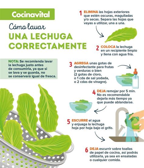 Proceso de lavado y desinfección de la lechuga