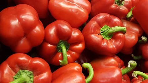 Pimiento rojo asándose a fuego directo