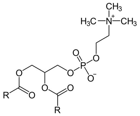 Estructura molecular de la lecitina