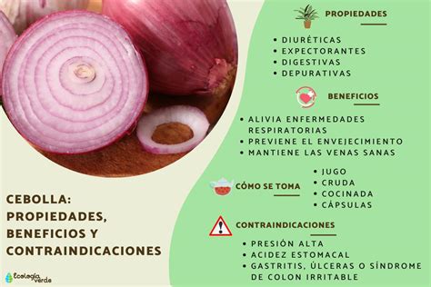 Infografía detallando los principales componentes nutricionales y antioxidantes de la cebolla morada.