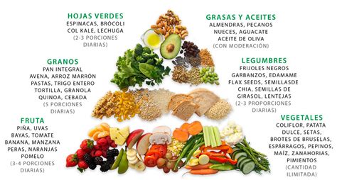 Infografía que muestra los grupos alimentarios esenciales en una dieta vegana equilibrada (legumbres, cereales, frutas, verduras, semillas)