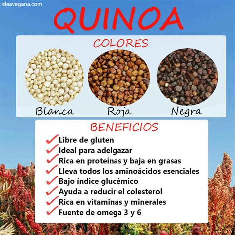 Infografía detallando los beneficios nutricionales de la quinoa negra.