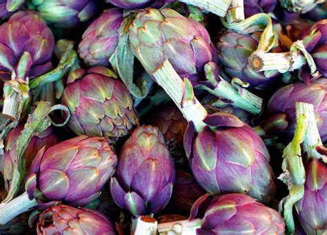 Ilustración comparativa de diferentes variedades de alcachofa