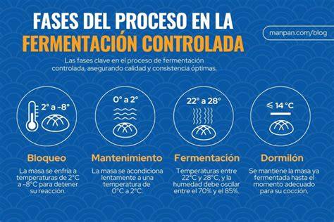 Infografía detallada sobre el proceso de fermentación del pan y los puntos críticos de control