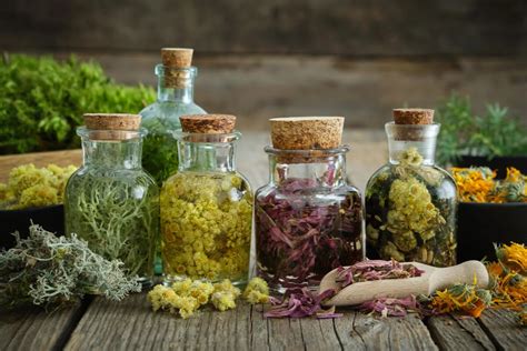 Elementos para la preparación de tinturas madre: frascos, alcohol, hierbas, embudo, gotero.