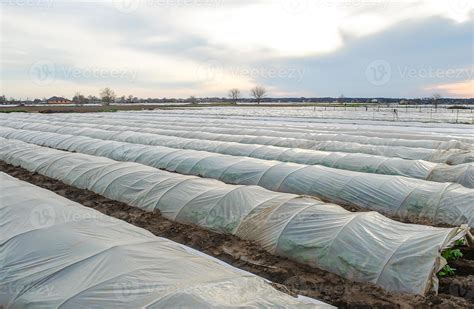 Invernadero protegiendo cultivos de las heladas y el viento