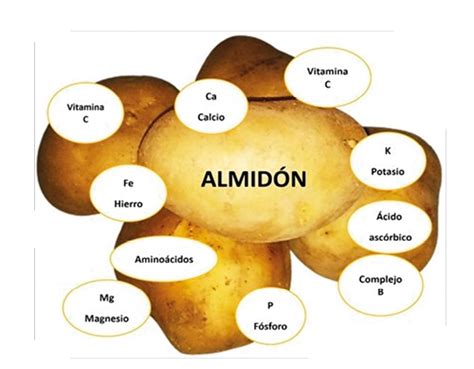 Esquema de tipos de papa según contenido de almidón y usos culinarios